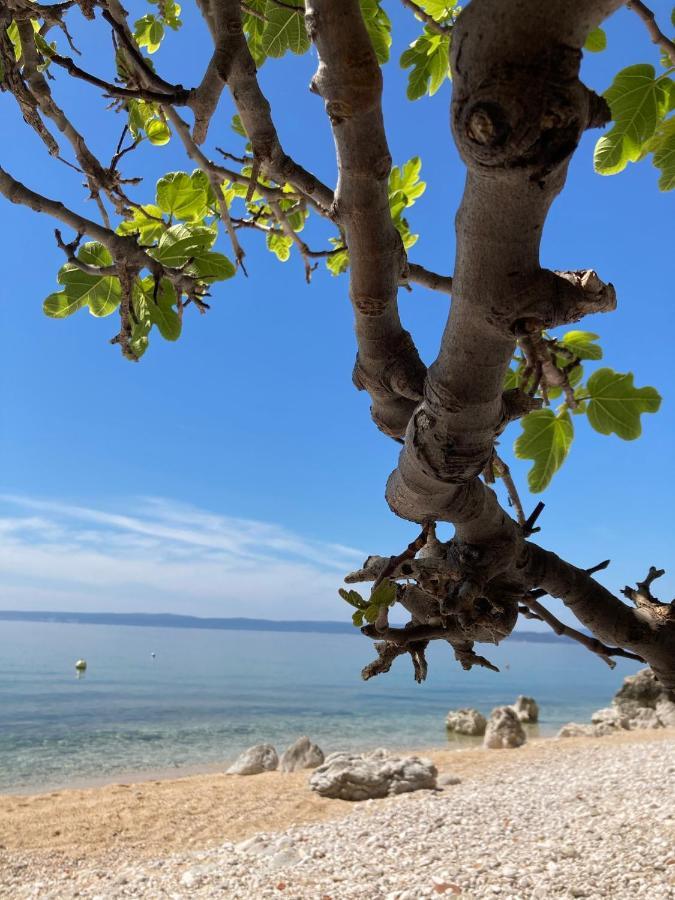 Villa Kuca Za Odmor Baya Stara Baška Esterno foto